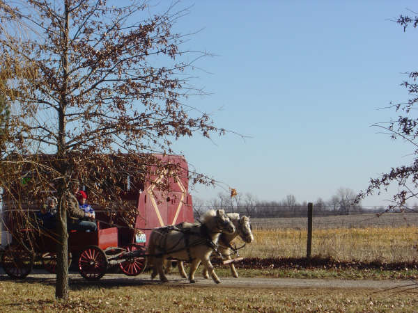 [Christmas+wagon+ride.JPG]