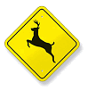 [Deer+Crossing.gif]