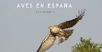 [Aves+en+España.jpg]