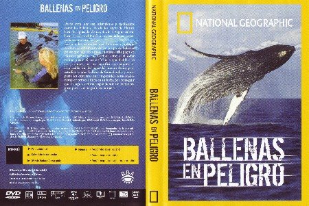 [National_Geographic_-_Ballenas_En_Peligro_por_Solonely.jpg]