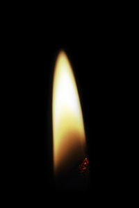 [candle-light.jpg]