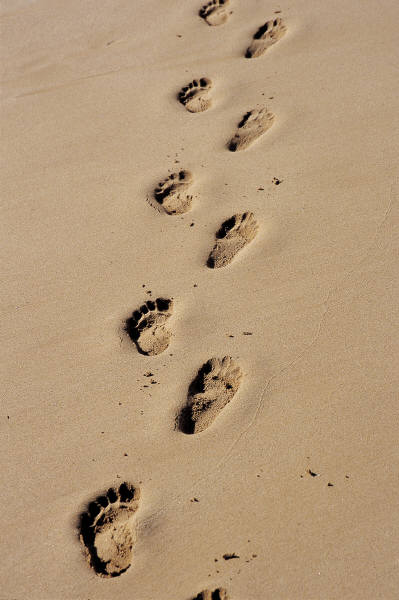 [Footprints_in_Sand.jpg]