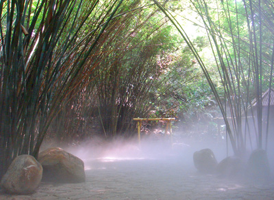 [070929BambooValley0709920eo.jpg]