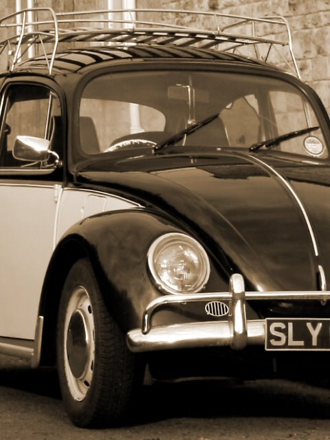 [beetle.jpg]