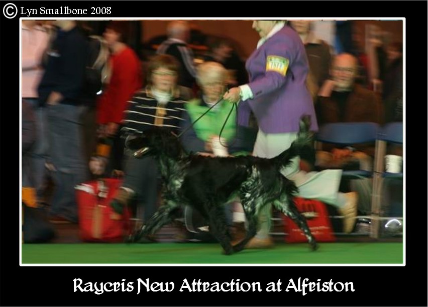 [raycris+new+attraction+at+alfriston2.JPG]