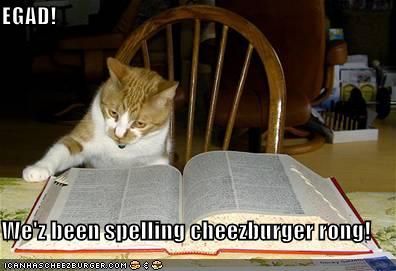 [funny-pictures-cat-dictionary-cheezburger.jpg]