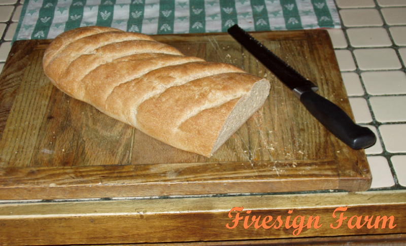 [1-hour+French+Bread.JPG]