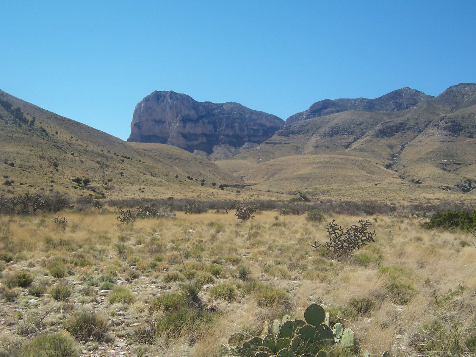[guadalupe+mountains+045.JPG]