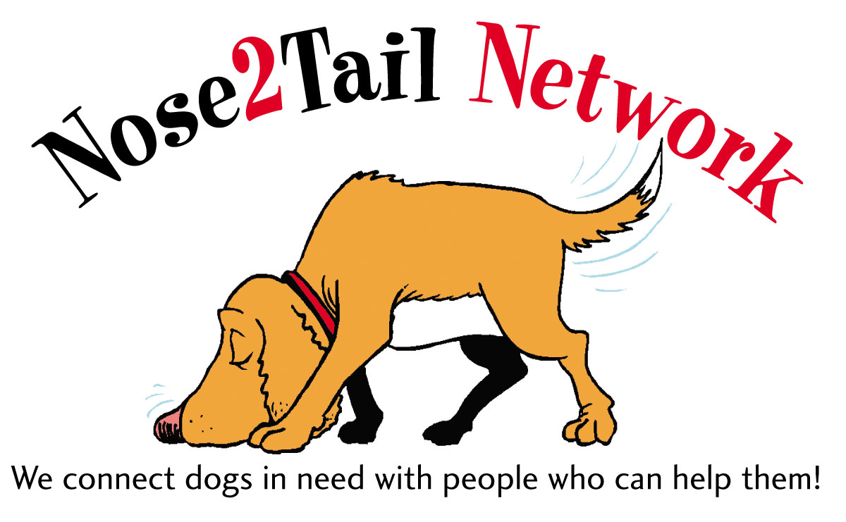 Nose2Tail Network