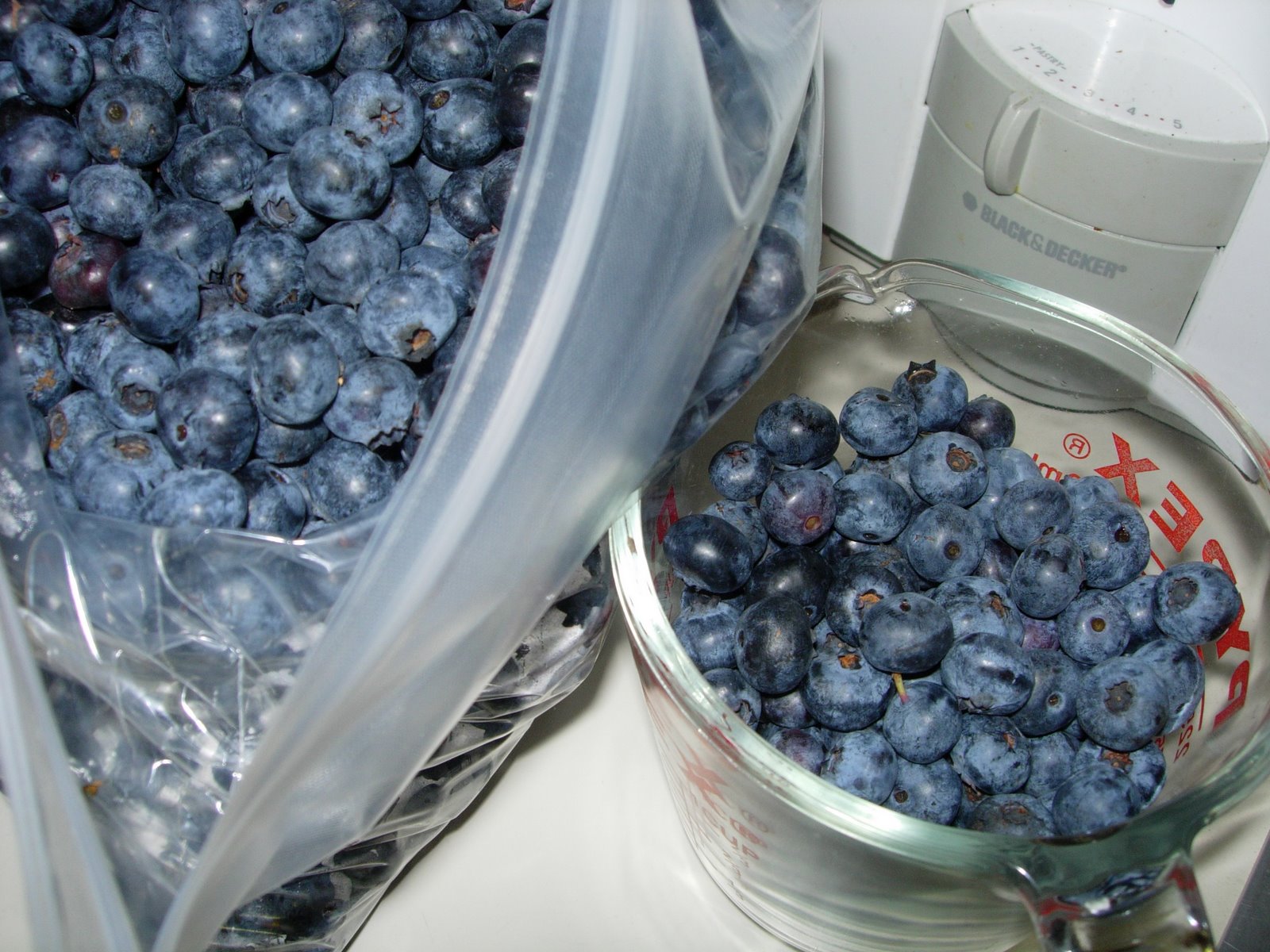 [Blueberries,+Fresh+from+Killough's+06-12-06.JPG]