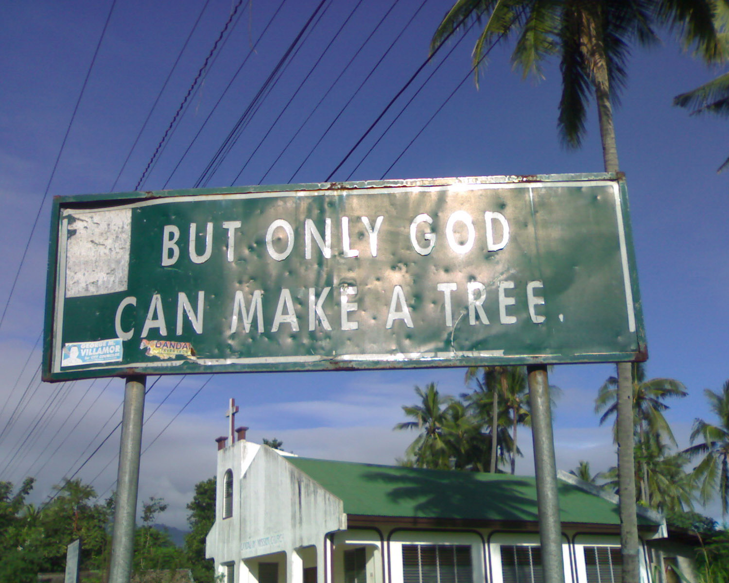 [only+God+make+a+tree.jpg]