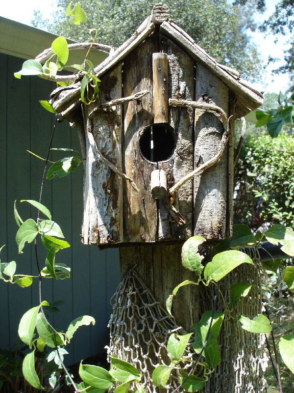[birdhouse.jpg]