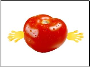 [tomata.jpg]