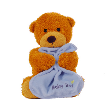 [2544-baby_boy_bear.jpg]