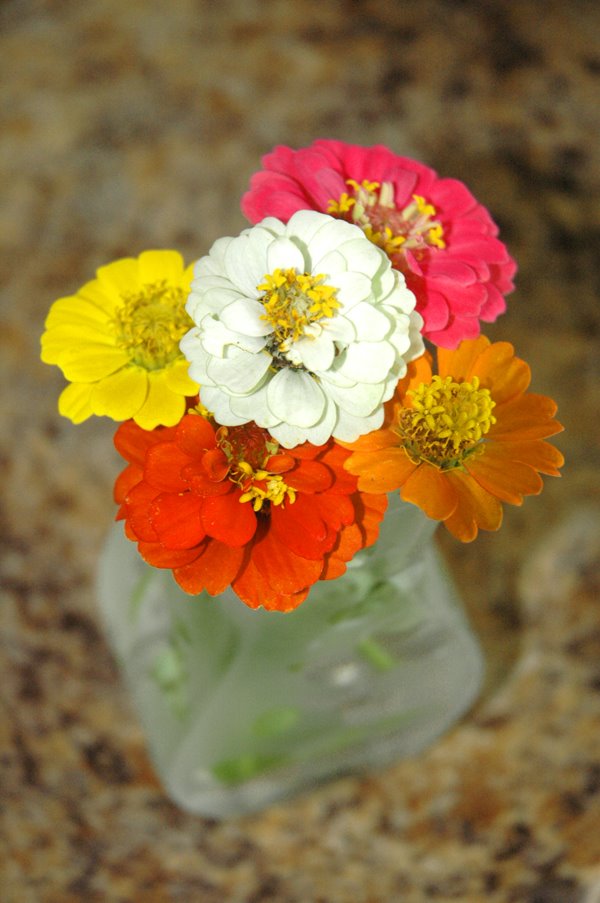 [vase+of+garden+flowers.jpg]