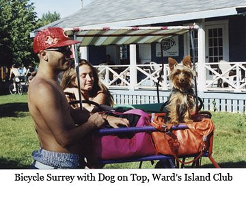 [bicycle+surrey+with+dog+ward's+island.jpg]