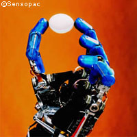 [sensopac+robot+hand.jpg]