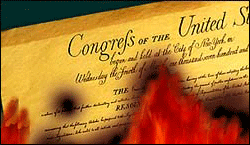 [constitution_burning.gif]
