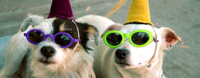 [two_dogs_party_hats.jpg]