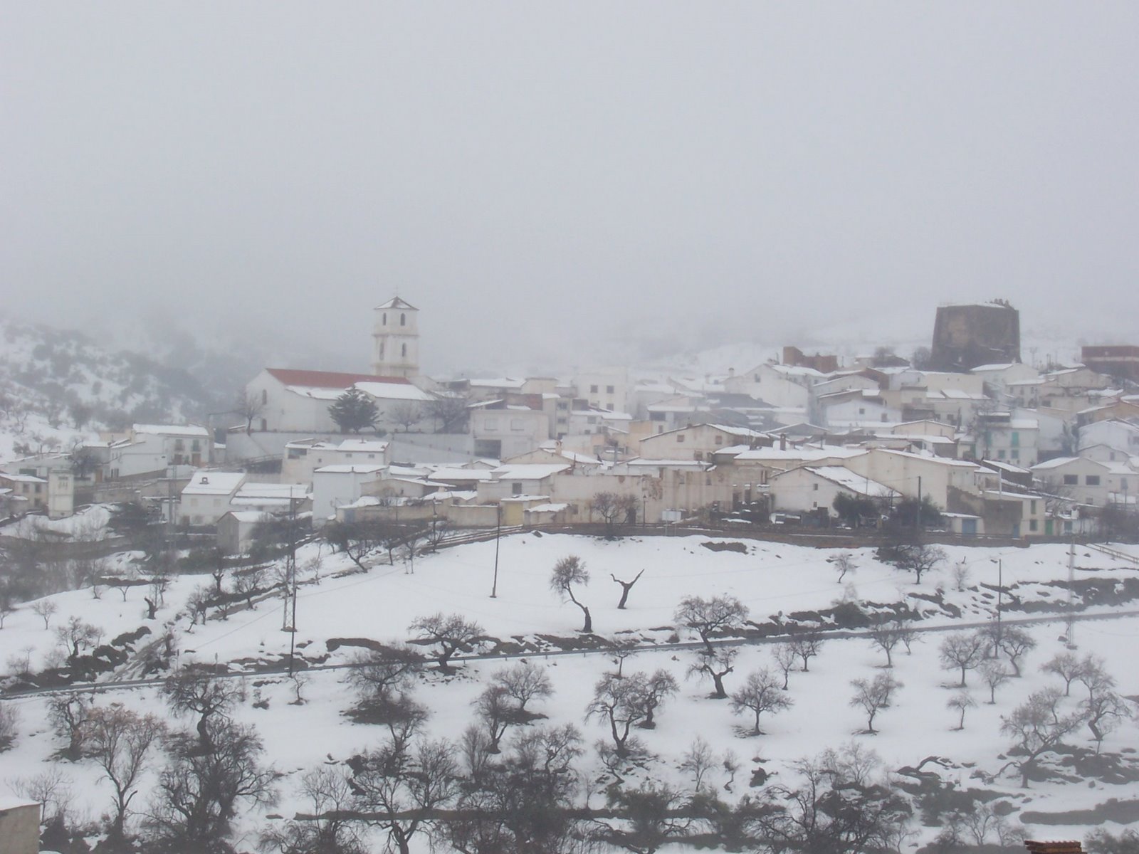 [nieve+en+almeria+enero+2007+033.jpg]