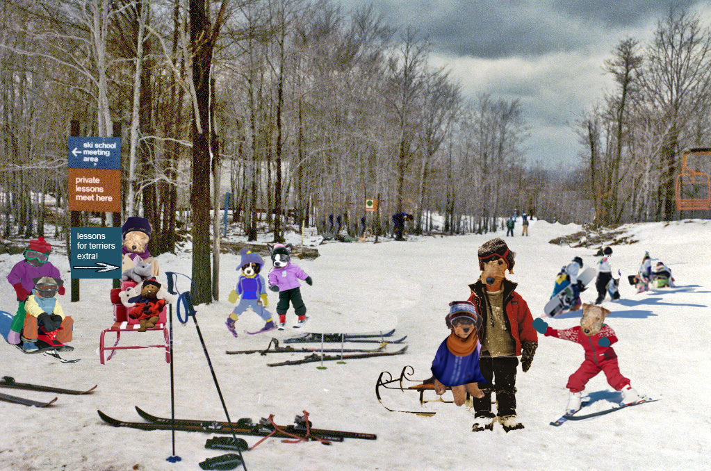 [8+skiing+lessons+for+terriers.jpg]