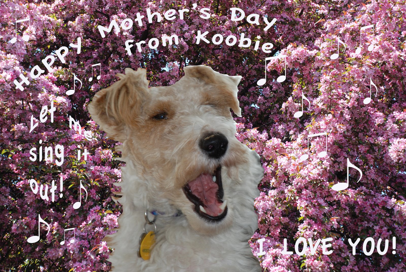 [Mother's+Day+Card+from+Koobie.jpg]