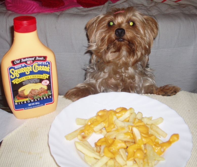 [chloe+and+her+chips.jpg]