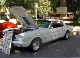 [Mustang+Shelby+Cobra.jpg]