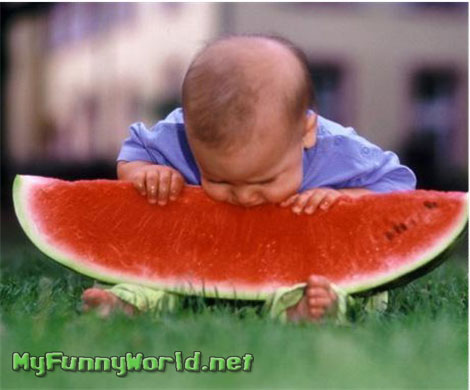 [watermelonbaby.jpg]