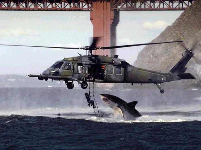 [Jaws+Attacks+Helicopter.jpg]