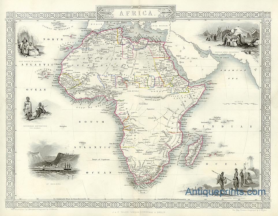 [sm0009-AfricaTallis.jpg]