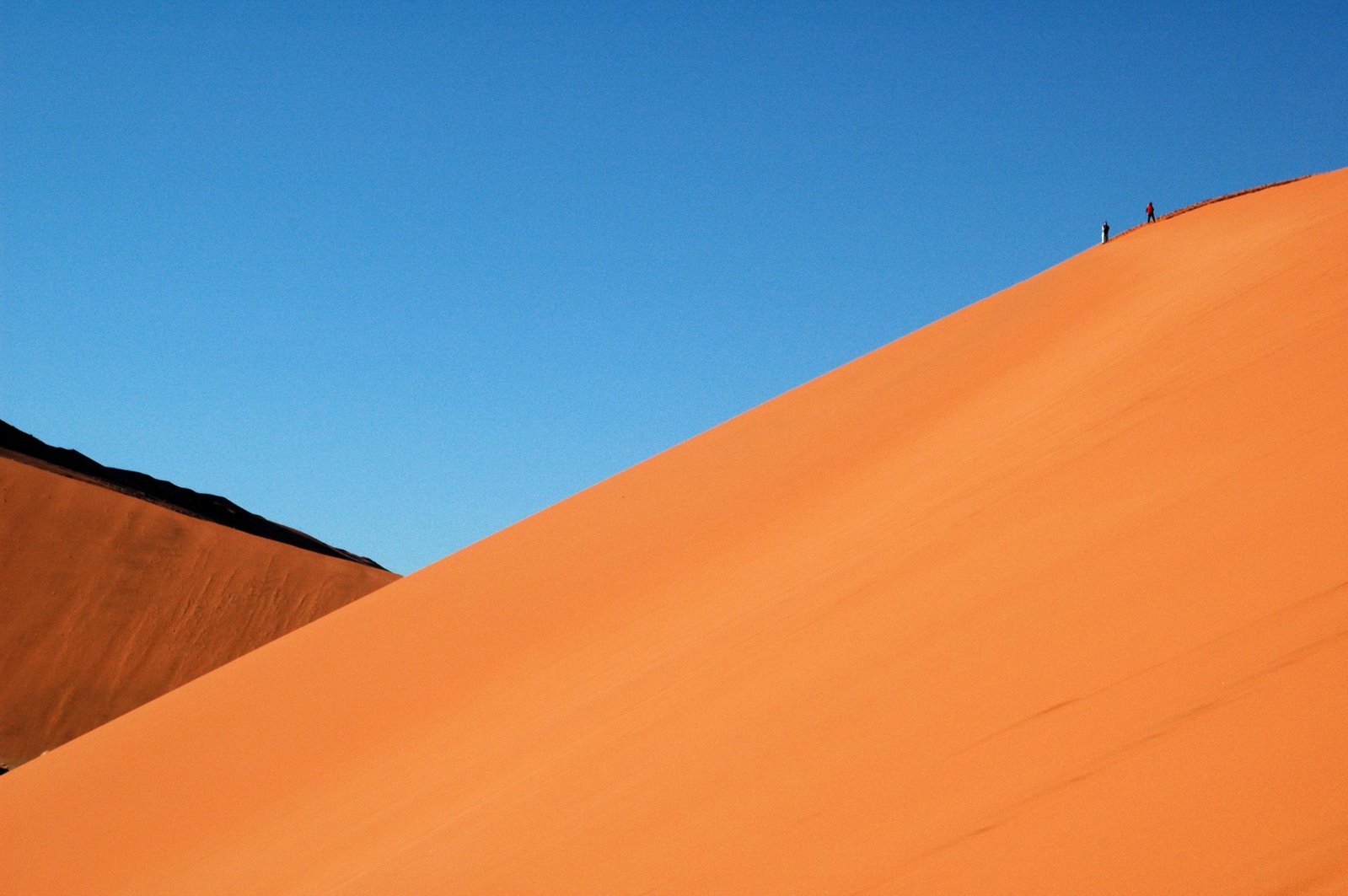 [Namib+duna+simple.jpg]
