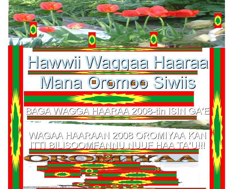 [Hawwii+Waggaa+Haaraa.bmp]