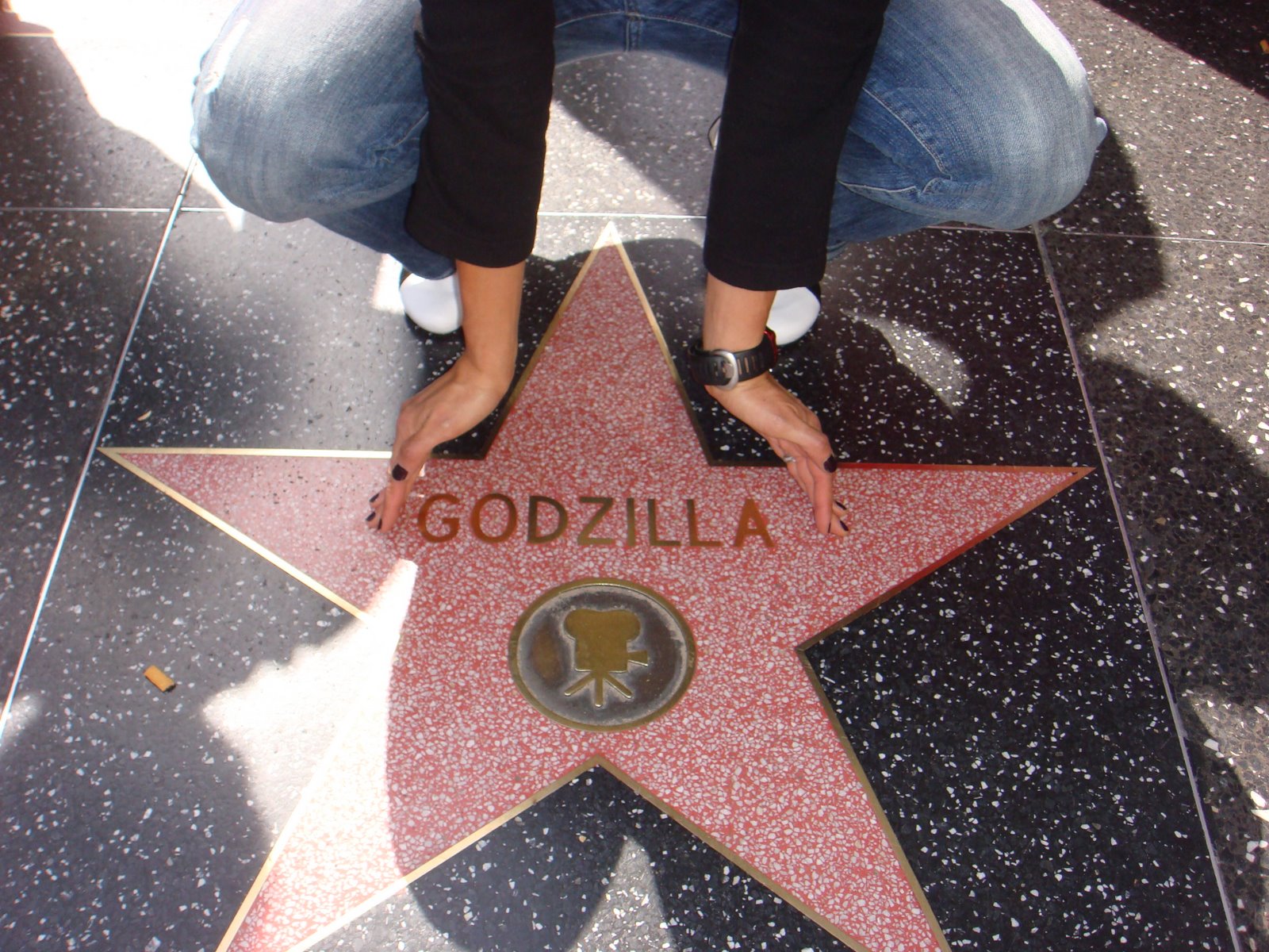 [Even+Godzilla+gets+a+star+on+Hollywood+Blvd+-+CA.JPG]