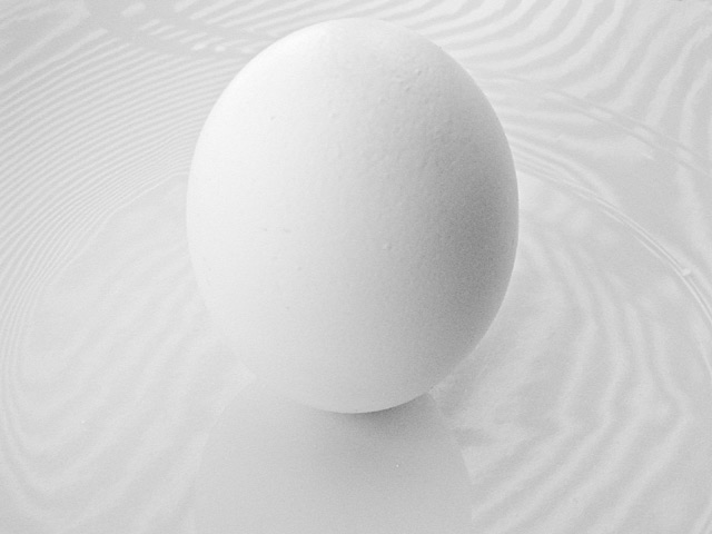 [egg-m.jpg]