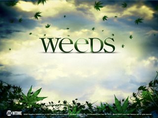 [weeds_vines_800x600.jpg]