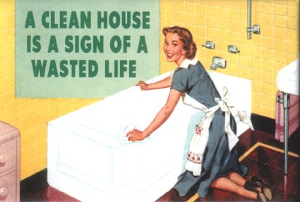 [clean+house+wasted+life.jpg]