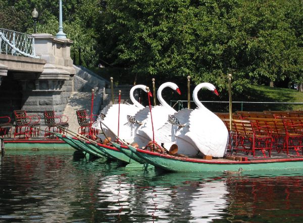 [IMG_676+Boston+Public+Garden+swan+boats.jpg]
