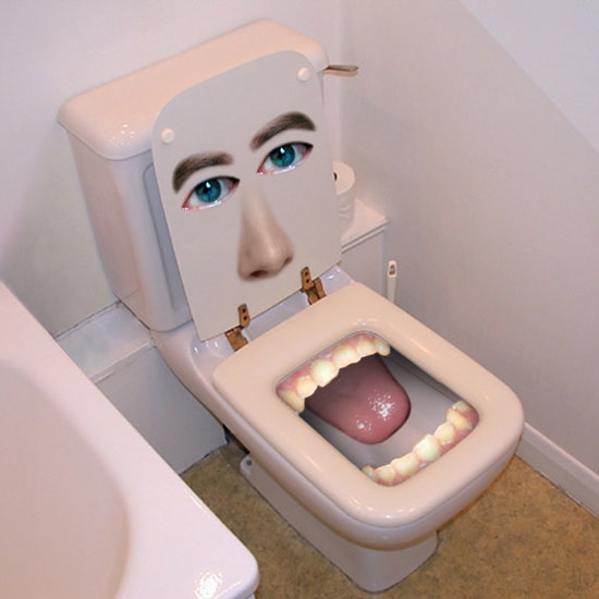 [New+Toilet+Face.jpg]