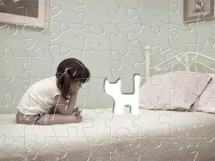 [puzzle_kitty.jpg]