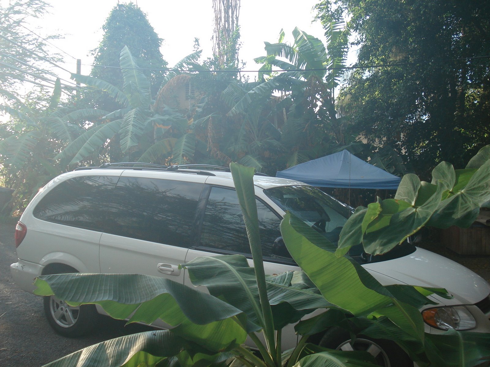 [Jungle+van+at+our+cabana.JPG]