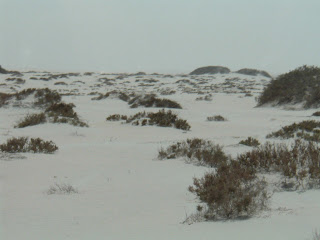 That's not snow- it's sand!  The desert plays tricks on the eye down here.