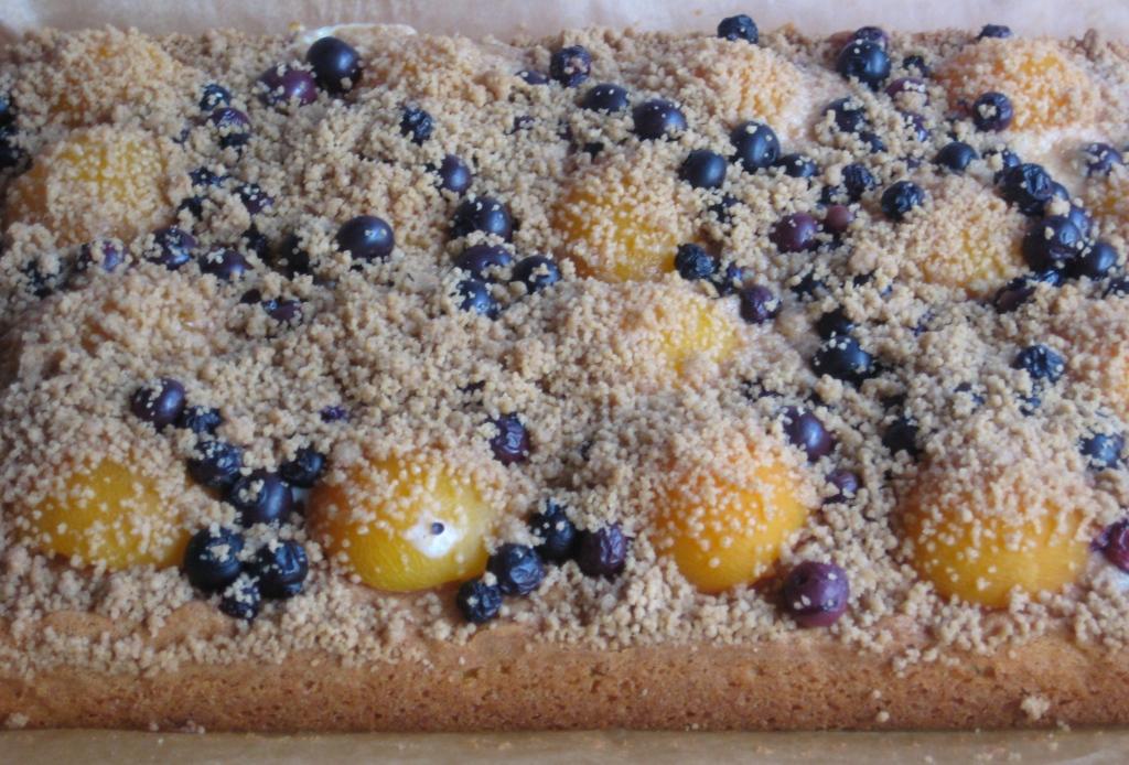 [Apricot+and+Blueberry+Crumble+Cake1.JPG]
