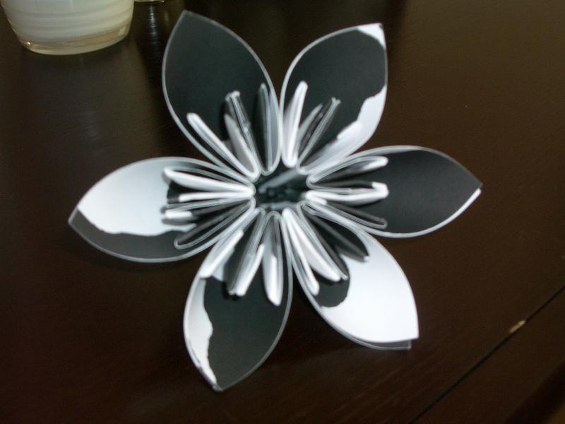 [flor+vaca+origami.JPG]