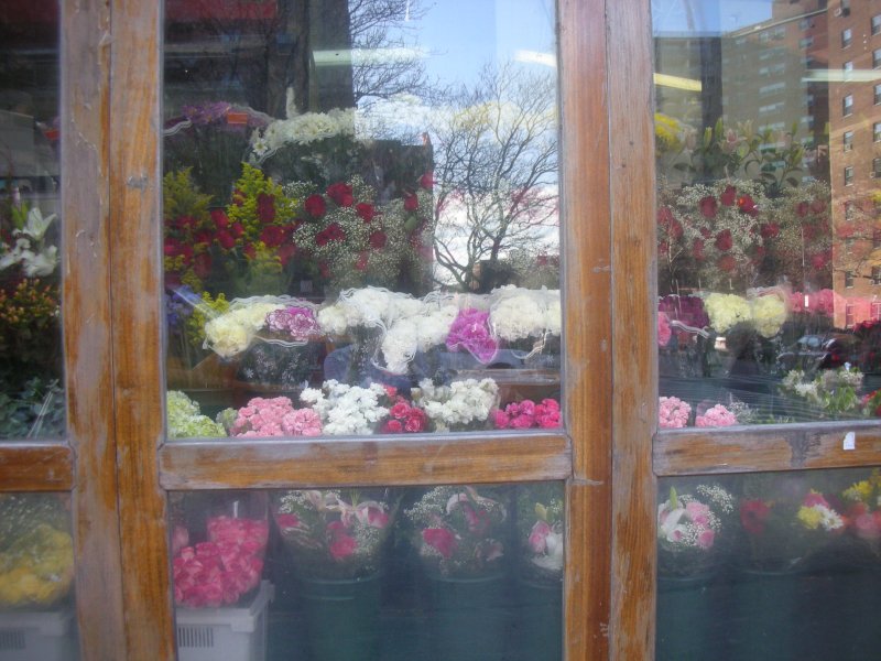 [corner+store+flowers+resize.JPG]