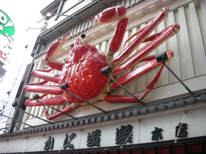 [crab.JPG]