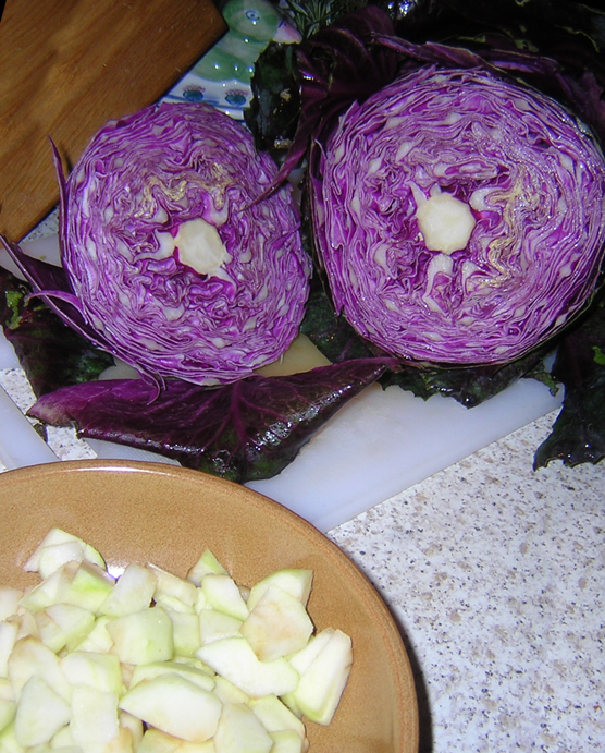 [red+cabbage+and+apples.jpg]