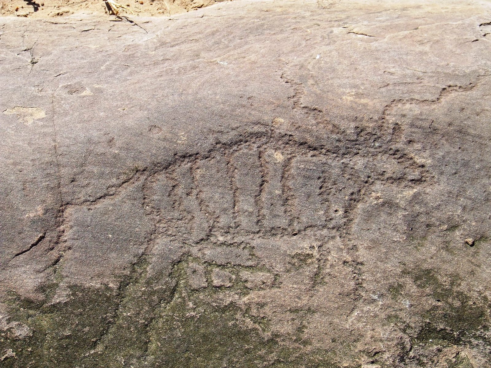 [Kudu+petroglyph+(Mamuno+Rock+Carvings).JPG]