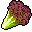 [Leaf-Lettuce-icon.gif]