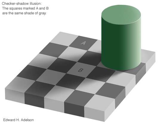 [checkershadow.jpg]